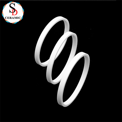 Ceramic Machining Large Size Alumina Ceramic Ring Al2O3 Ceramic Seal Ring