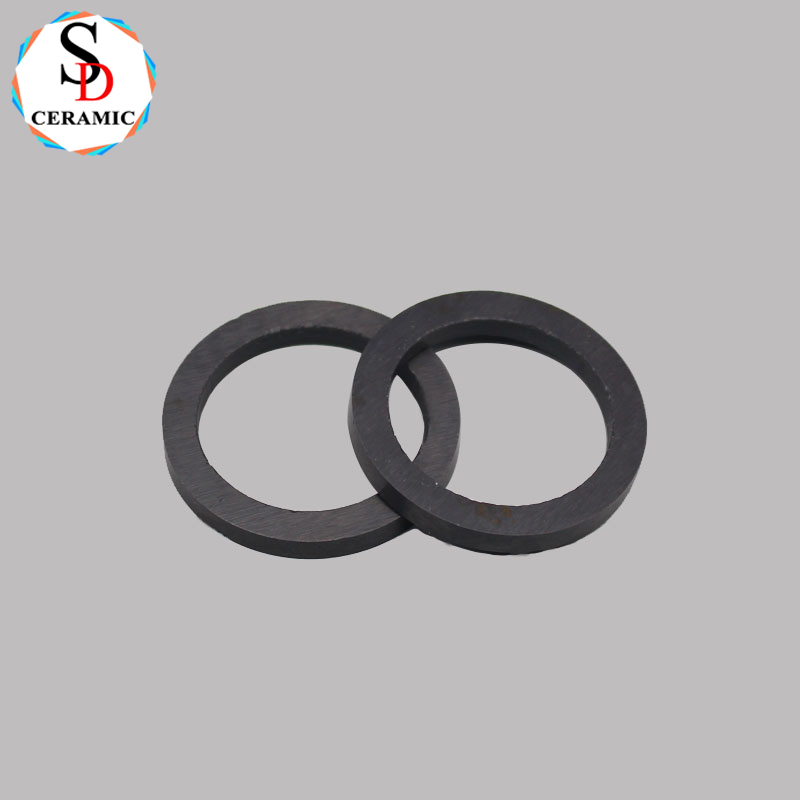 High Temperature Resistance Si3N4 Silicon Nitride Ceramic Ring Seal for Sale