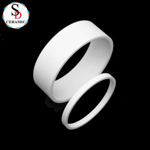 Ceramic Machining Large Size Alumina Ceramic Ring Al2O3 Ceramic Seal Ring