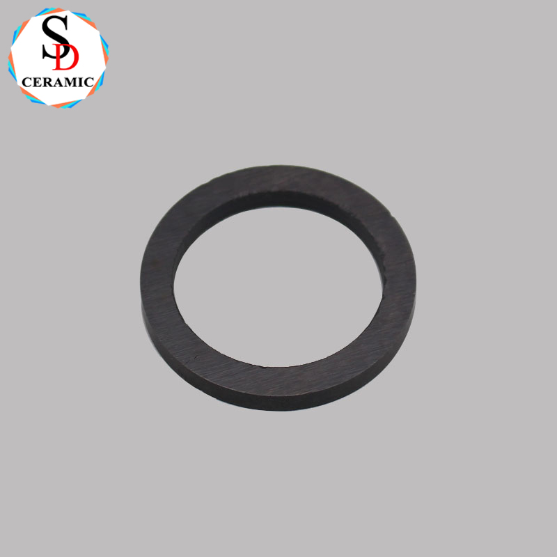High Temperature Resistance Si3N4 Silicon Nitride Ceramic Ring Seal for Sale